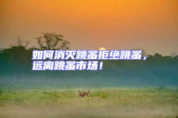 如何消滅跳蚤拒絕跳蚤,遠(yuǎn)離跳蚤市場(chǎng)!