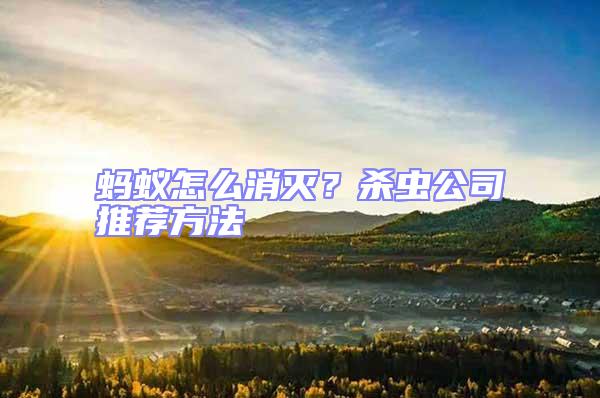 螞蟻怎么消滅?殺蟲公司推薦方法