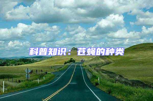 科普知識:蒼蠅的種類