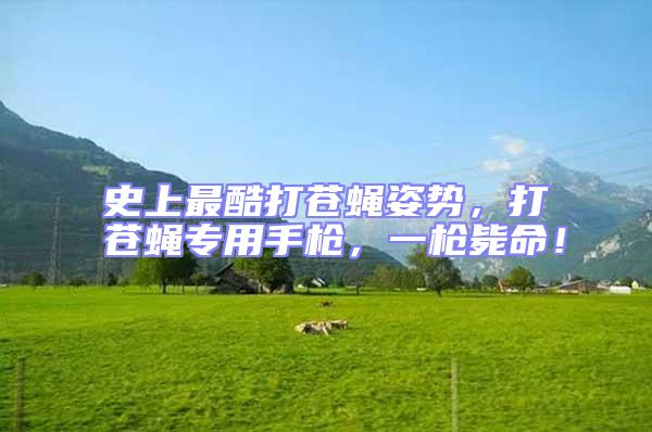 史上最酷打蒼蠅姿勢，打蒼蠅專用手槍，一槍斃命！