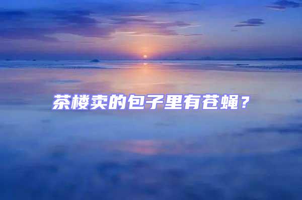 茶樓賣的包子里有蒼蠅?