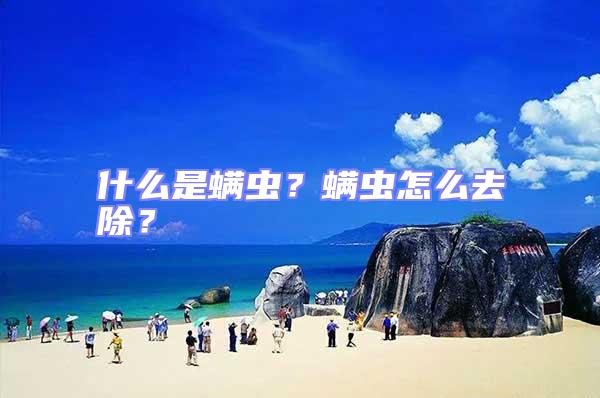 什么是螨蟲？螨蟲怎么去除？