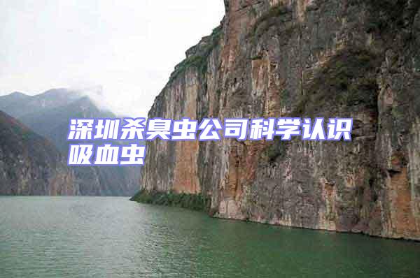 深圳殺臭蟲公司科學(xué)認(rèn)識吸血蟲