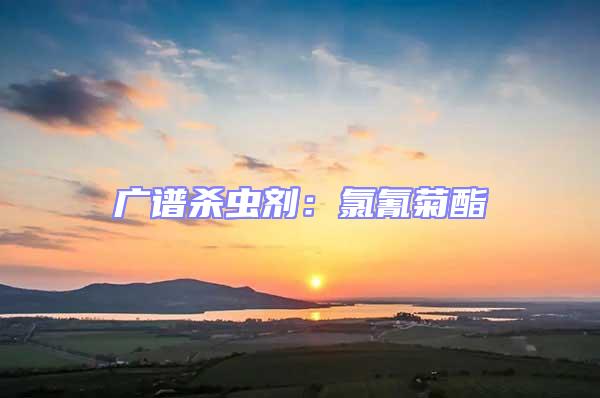 廣譜殺蟲劑:氯氰菊酯