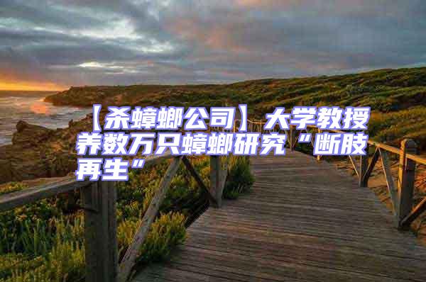 【殺蟑螂公司】大學教授養(yǎng)數(shù)萬只蟑螂研究“斷肢再生”