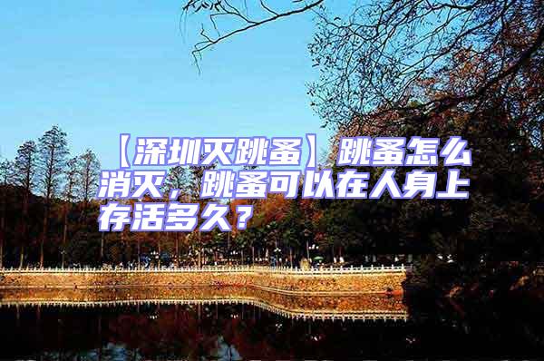 【深圳滅跳蚤】跳蚤怎么消滅,跳蚤可以在人身上存活多久?