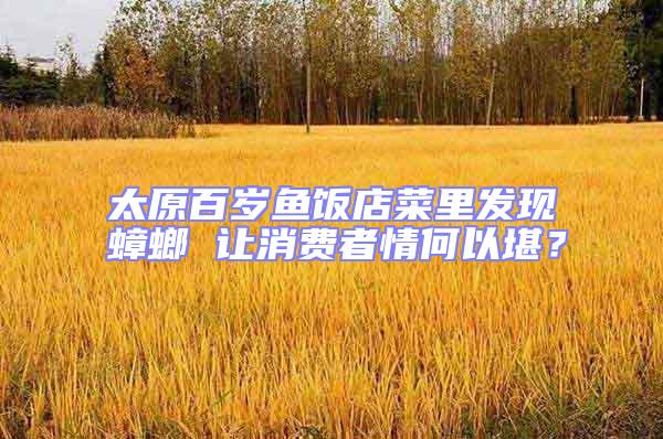 太原百歲魚飯店菜里發現蟑螂 讓消費者情何以堪?