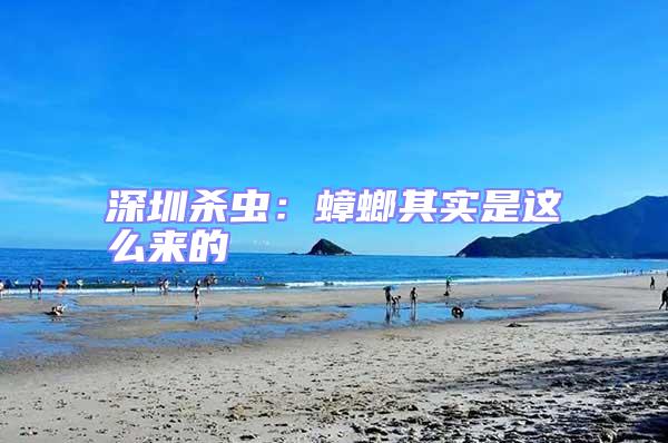 深圳殺蟲(chóng):蟑螂其實(shí)是這么來(lái)的