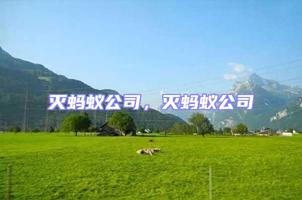 滅螞蟻公司,滅螞蟻公司