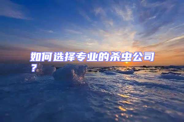 如何選擇專業的殺蟲公司?