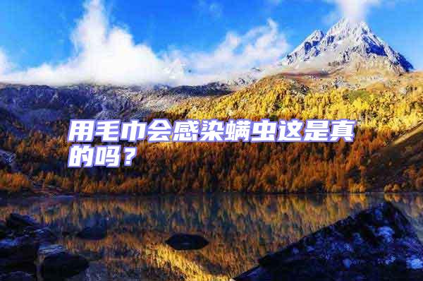 用毛巾會感染螨蟲這是真的嗎？