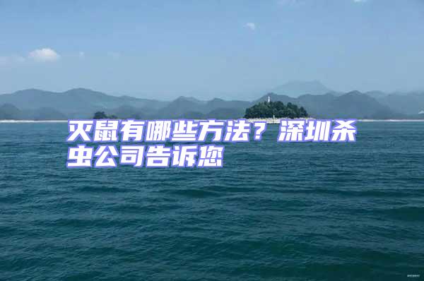 滅鼠有哪些方法?深圳殺蟲公司告訴您