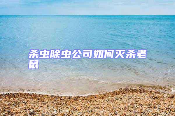 殺蟲(chóng)除蟲(chóng)公司如何滅殺老鼠