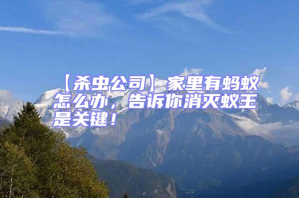 【殺蟲公司】家里有螞蟻怎么辦,告訴你消滅蟻王是關鍵!