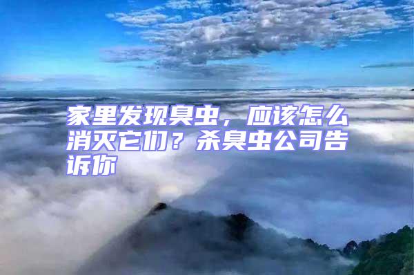 家里發現臭蟲,應該怎么消滅它們?殺臭蟲公司告訴你