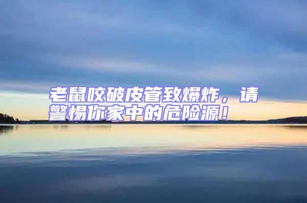 老鼠咬破皮管致爆炸,請警惕你家中的危險源!