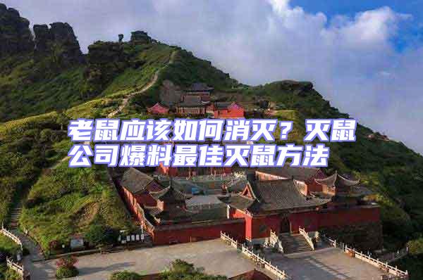 老鼠應該如何消滅?滅鼠公司爆料最佳滅鼠方法
