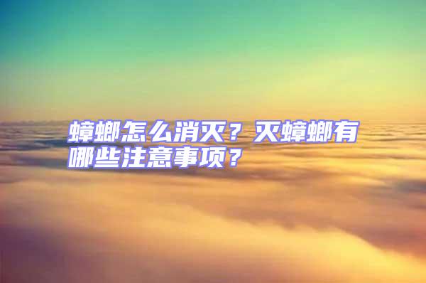 蟑螂怎么消滅?滅蟑螂有哪些注意事項?