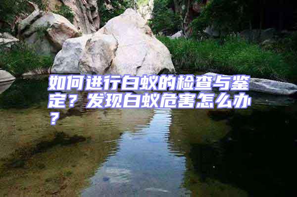 如何進(jìn)行白蟻的檢查與鑒定?發(fā)現(xiàn)白蟻危害怎么辦?