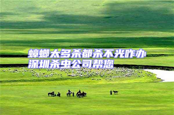 蟑螂太多殺都?xì)⒉还庹k深圳殺蟲(chóng)公司幫您