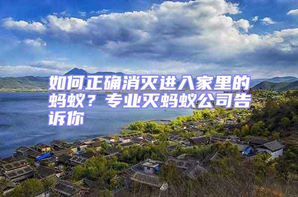 如何正確消滅進入家里的螞蟻?專業滅螞蟻公司告訴你