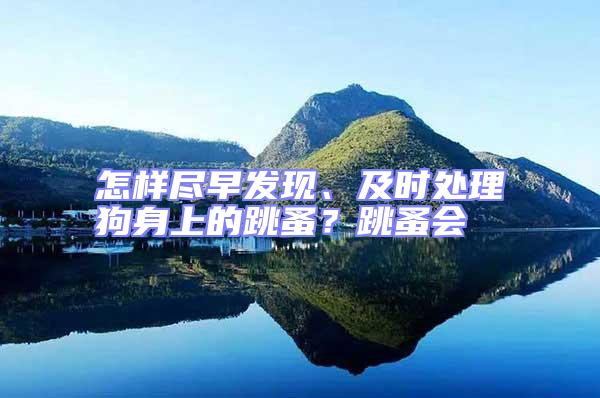 怎樣盡早發現、及時處理狗身上的跳蚤?跳蚤會