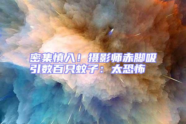 密集慎入!攝影師赤腳吸引數(shù)百只蚊子:太恐怖