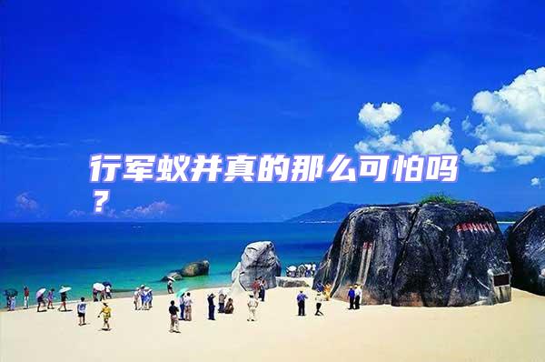 行軍蟻并真的那么可怕嗎?