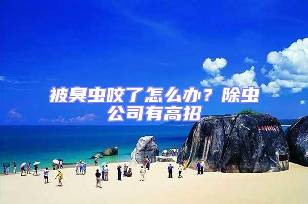 被臭蟲咬了怎么辦?除蟲公司有高招