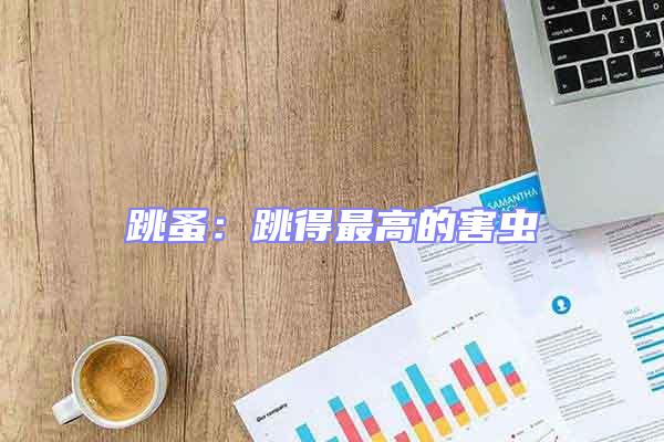 跳蚤:跳得最高的害蟲