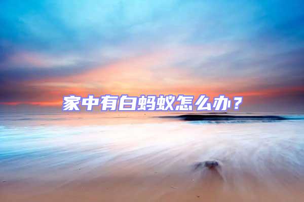 家中有白螞蟻怎么辦?
