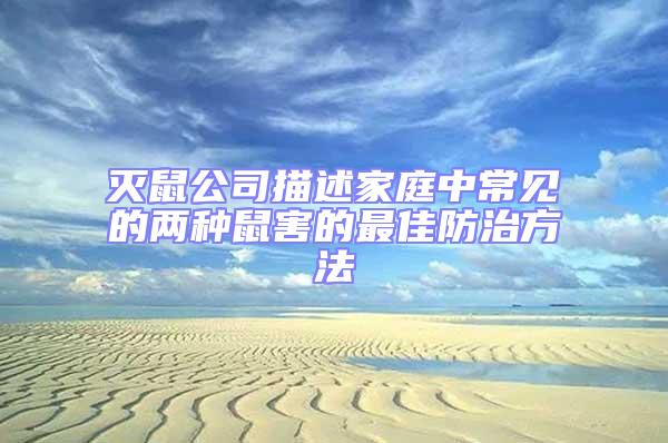 滅鼠公司描述家庭中常見(jiàn)的兩種鼠害的最佳防治方法