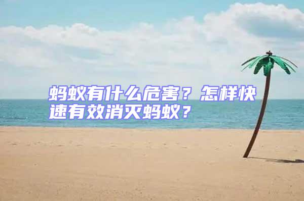 螞蟻有什么危害？怎樣快速有效消滅螞蟻？