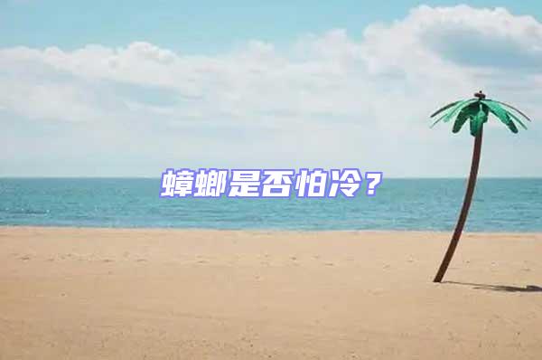 蟑螂是否怕冷？