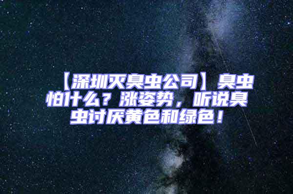 【深圳滅臭蟲公司】臭蟲怕什么?漲姿勢,聽說臭蟲討厭黃色和綠色!