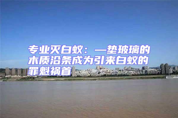 專業(yè)滅白蟻:—墊玻璃的木質(zhì)沿條成為引來(lái)白蟻的罪魁禍?zhǔn)?/></p>
									<p style=