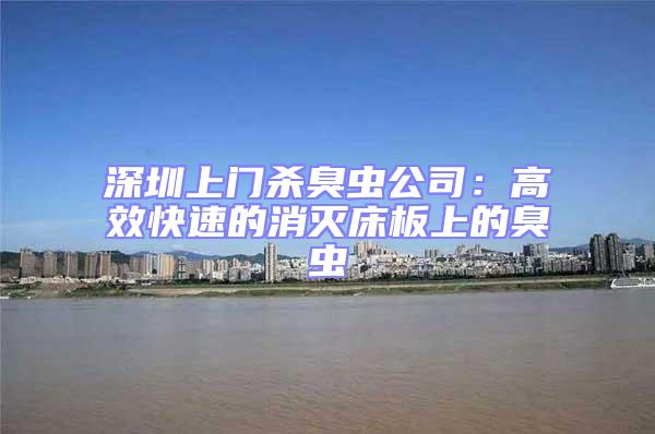 深圳上門殺臭蟲公司:高效快速的消滅床板上的臭蟲