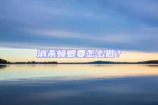 消殺蟑螂要怎么做？