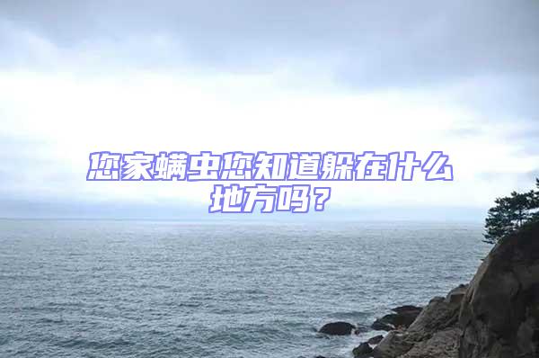 您家螨蟲您知道躲在什么地方嗎？