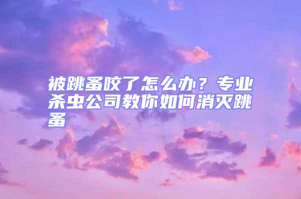 被跳蚤咬了怎么辦?專業(yè)殺蟲公司教你如何消滅跳蚤