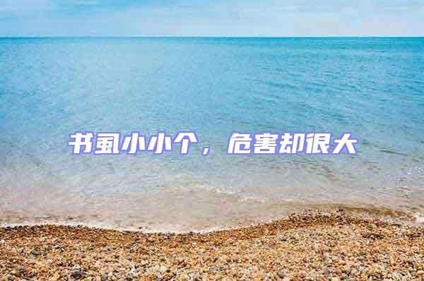 書虱小小個,危害卻很大