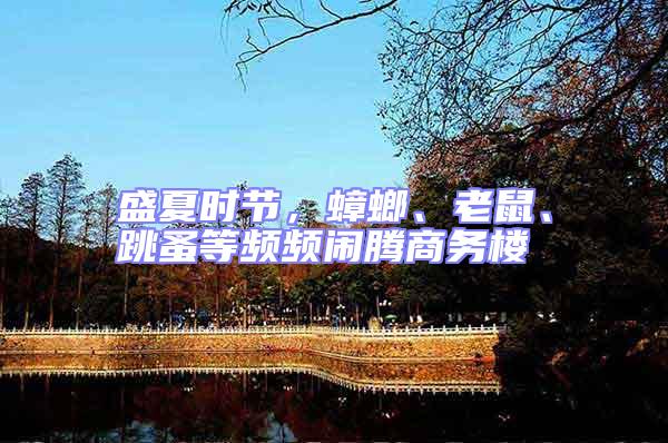 盛夏時節,蟑螂、老鼠、跳蚤等頻頻鬧騰商務樓