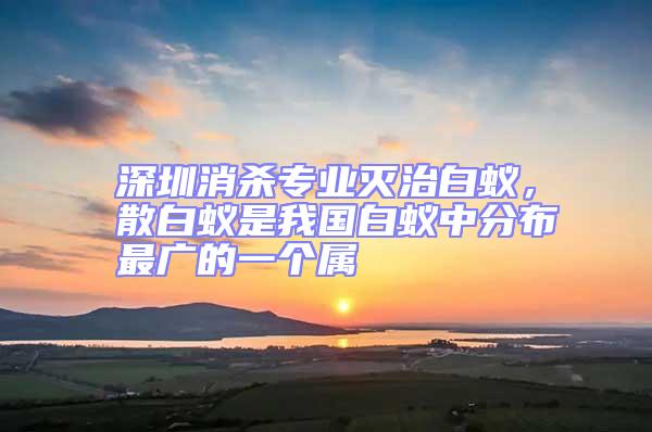 深圳消殺專業(yè)滅治白蟻,散白蟻是我國白蟻中分布最廣的一個(gè)屬