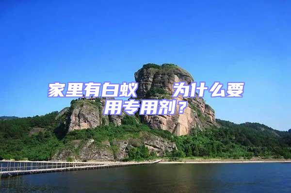 家里有白蟻   為什么要用專用劑？