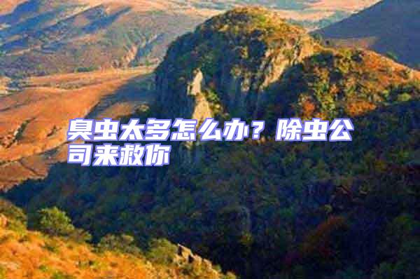 臭蟲太多怎么辦?除蟲公司來救你