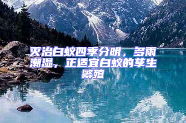 滅治白蟻四季分明,多雨潮濕,正適宜白蟻的孳生繁殖