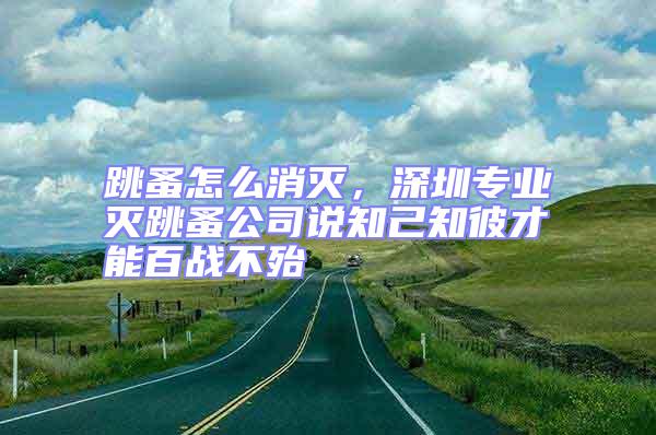 跳蚤怎么消滅,深圳專業(yè)滅跳蚤公司說(shuō)知己知彼才能百戰(zhàn)不殆