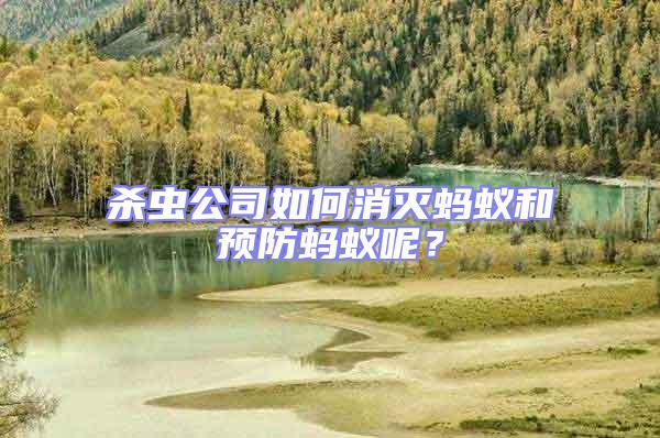 殺蟲公司如何消滅螞蟻和預防螞蟻呢?