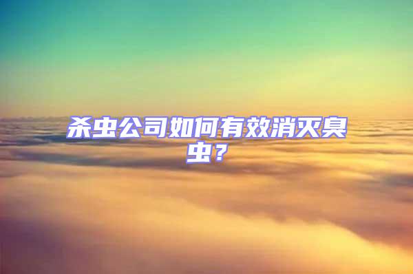 殺蟲公司如何有效消滅臭蟲?