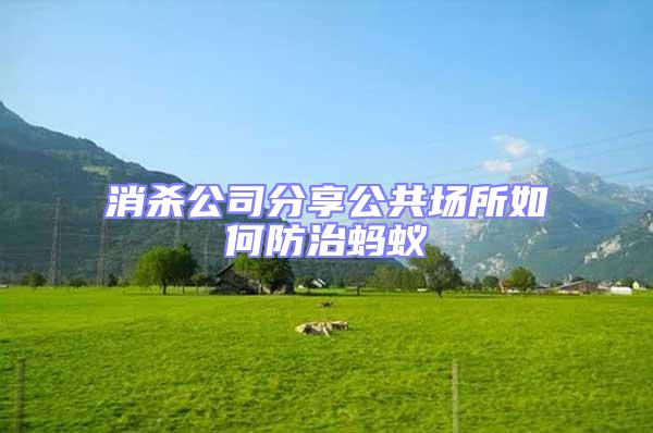 消殺公司分享公共場(chǎng)所如何防治螞蟻